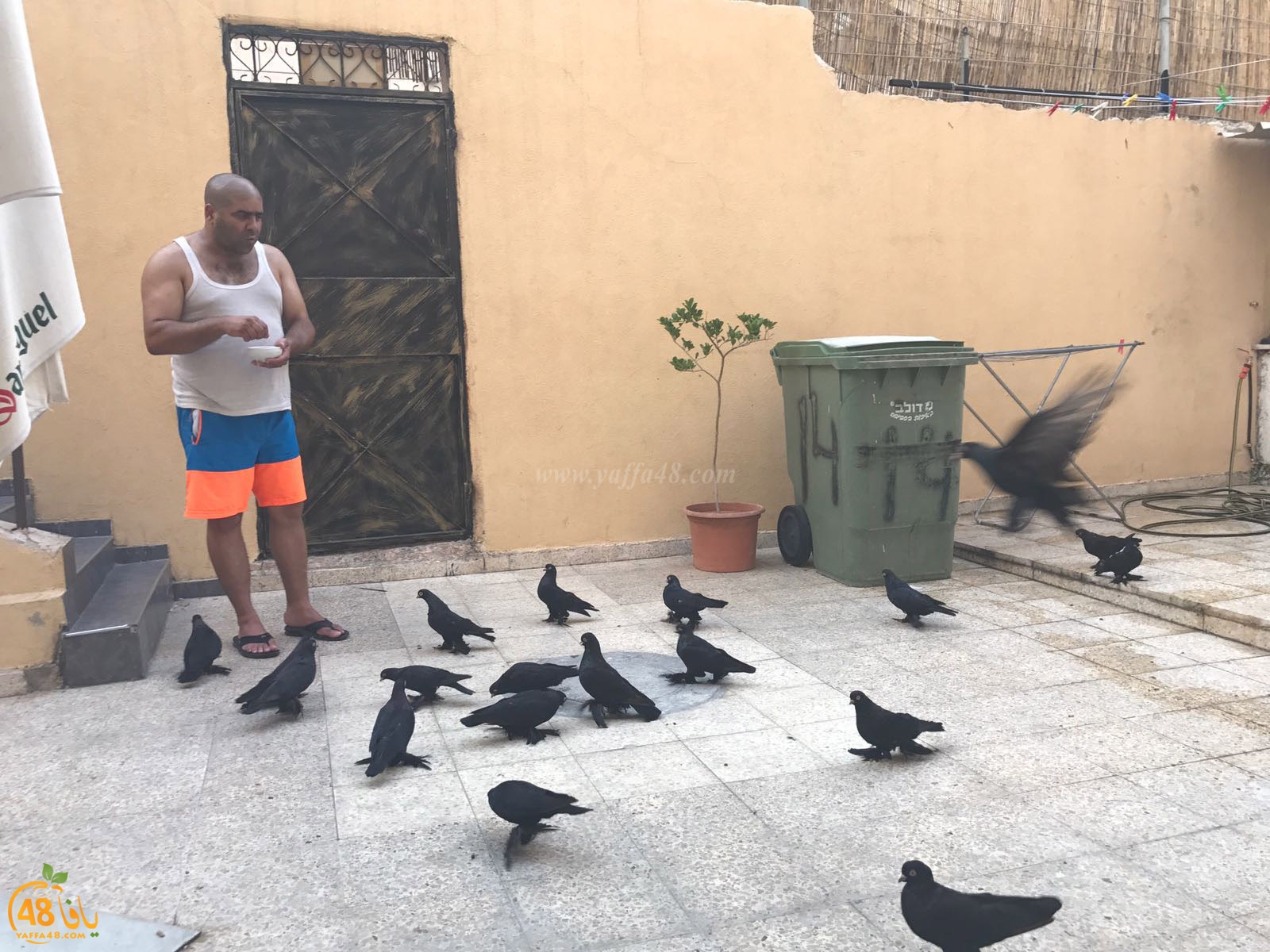 zohdi 3ashoor 7amam (14).jpg